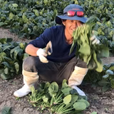 古賀美木 | 美木食品株式会社