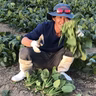 古賀美木