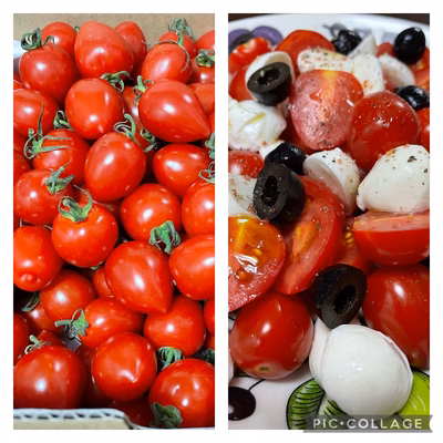 みんなの投稿の画像