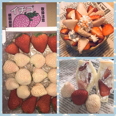 みんなの投稿の画像