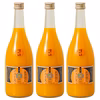 紀伊路屋 有田のみかんストレートジュース720ml 3本セット