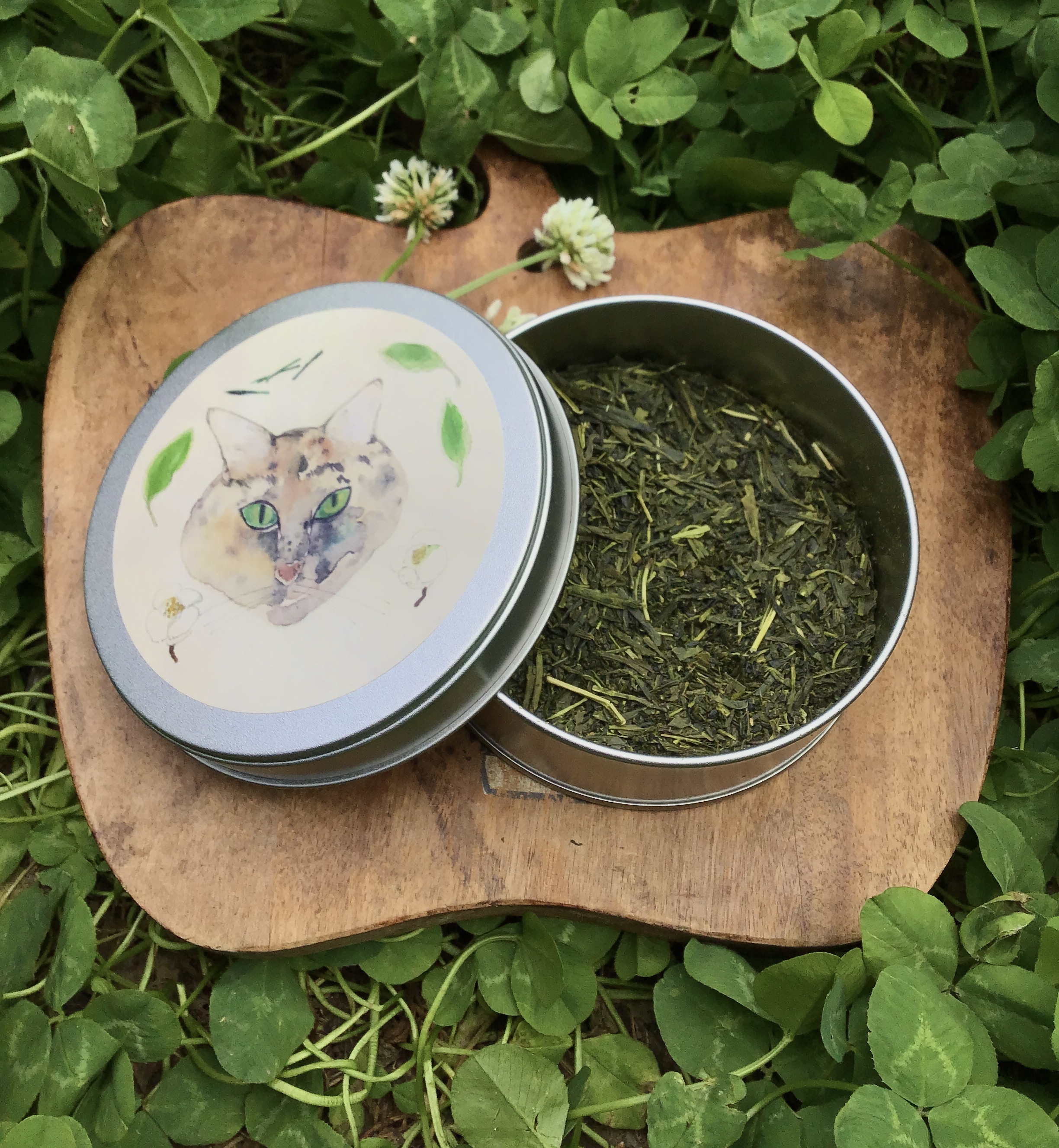 プレゼントにどうぞ ねこ農園の新茶50g ねこ缶仕様 農家漁師から産地直送の通販 ポケットマルシェ