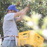 深井貞俊 | 深井農園