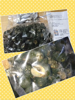 みんなの投稿の画像