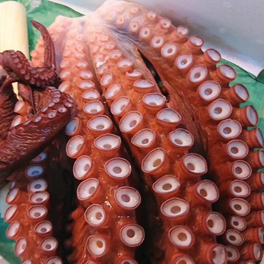 肉厚で味の濃い水蛸❗️ 足1本×2パック❗️青森県津軽海峡産