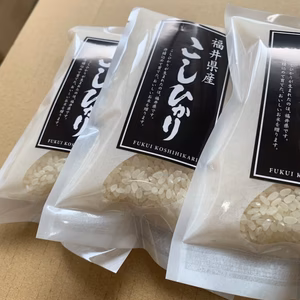 福井こしひかり１合パック×10