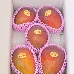 沖縄・宜野座育ちマンゴー【良品・ご自宅用・白箱入り、約2kg、常温発送】