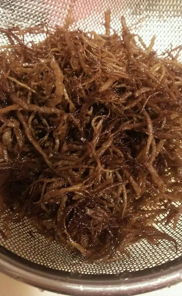 干満の差がある瀬戸内ふのり たっぷり4袋160ｇ限定価格でお得 農家漁師から産地直送の通販 ポケットマルシェ