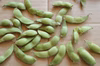 【規格外品・加工用】◎自然栽培◎山形県鶴岡特産「茶豆えだまめ」