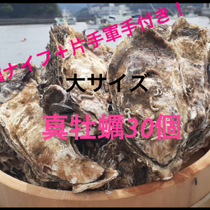 南三陸志津川産より　真牡蠣　大サイズ　30個＋牡蠣ナイフ、片手軍手付き！