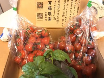 みんなの投稿の画像