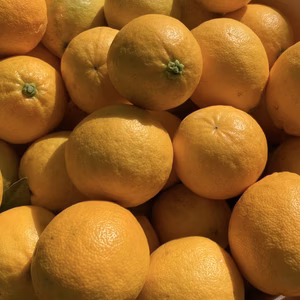 【そのまま食べられる】レモンレモネード　和歌山