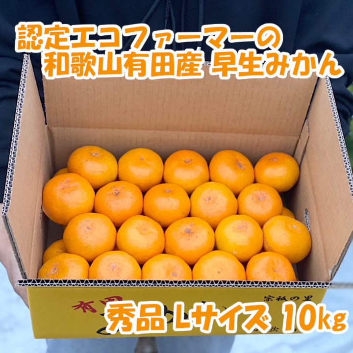秀品・Lサイズ】和歌山有田産！早生みかん≪10㎏≫☆11月下旬～発送