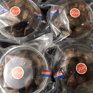 青森県産熟成黒にんにく 訳あり1kg(250g×4パック) 福地ホワイト六片種