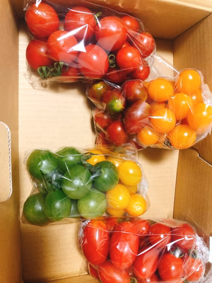 みんなの投稿の画像