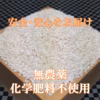 新米の香り 丸もち(白) できたてをお届け（１袋500g）