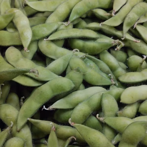 《期間限定》もぎ枝豆(湯上がり娘)