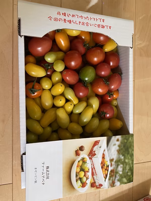 みんなの投稿の画像