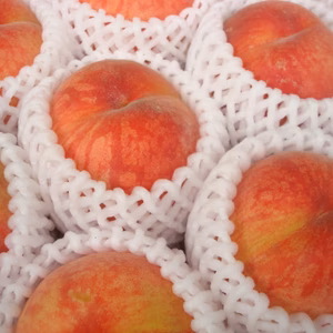 あまとう桃　7月下旬発送の早生品種　3キロ箱入り　11から12個入り ご贈答・夏