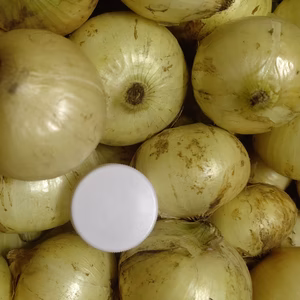 訳あり新玉ねぎ7kgミニサイズ桜島の大自然 無農薬有機肥料 除草剤不使用