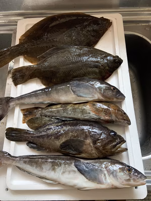 みんなの投稿の画像