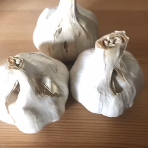B級品　大放出!  ガツンとくるにんにく　おまけ付き