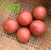 早割 減農薬 桃太郎 トマト 約３kg １２個〜 訳あり