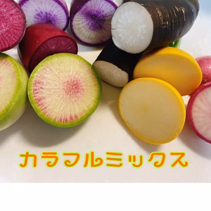 体が元気になるカラフル根菜セット