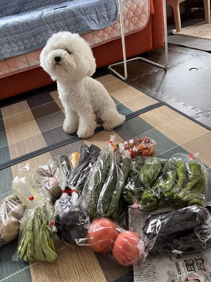 みんなの投稿の画像