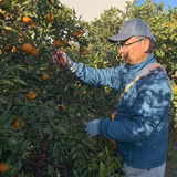 城 良視 | 城農園
