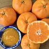 加工向き！果汁の多い大きなみかん【減農薬】8kg