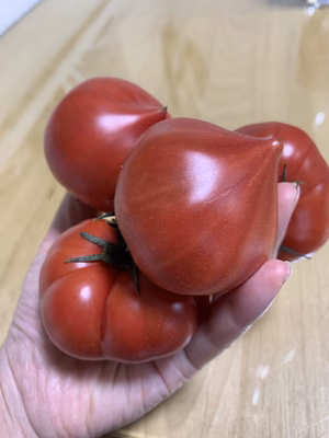 みんなの投稿の画像