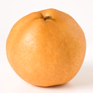 【予約品】大きさも甘さも大満足！梨の王様、新高梨５ｋｇ