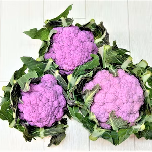 戸島農園NSオリジナルブランド品　ロゼフラワー　4個セット