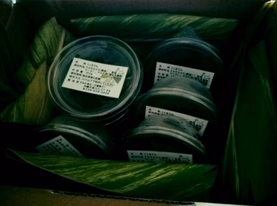 みんなの投稿の画像