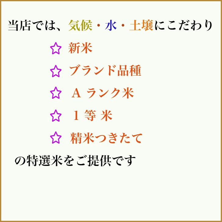 【新米】 おいしいはえぬき 2kgx2袋＋炊き込みご飯  山形県産