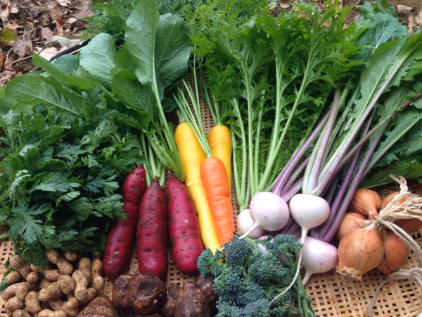 【東京 町田産】旬の野菜セット 農薬・化学肥料・動物性堆肥不使用 Sサイズ