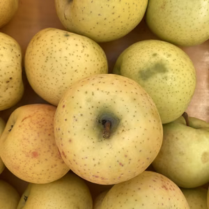 星の金貨　訳あり家庭用5キロバラ詰めラフおまけつき込み7キロ　りんご