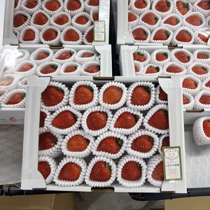 朝獲りイチゴ　あまおう