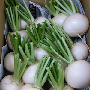 有機かぶ バラ詰め4kg（有機JAS認証・J-GAP認証済）