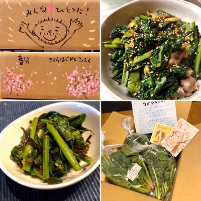 みんなの投稿の画像