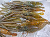 NOBU様専用　海部川天然川えび 600g