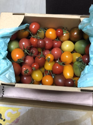 みんなの投稿の画像