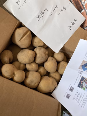 みんなの投稿の画像