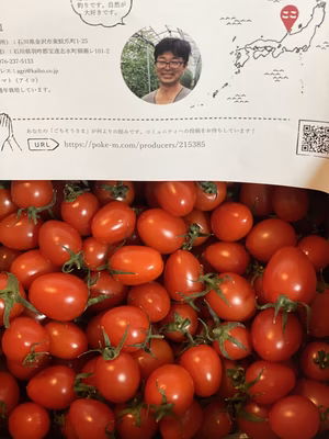 みんなの投稿の画像