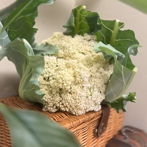 爆食注意❗️茎まで美味しいカリフローレ1箱