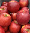 【りんご3品種の食べ比べセット】秋映、シナノスイート、サンジョナゴールド