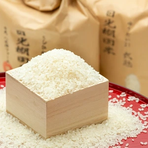 【在庫処分品】特別価格　お米食べ比べ　令和4年度産