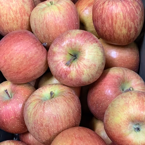 ハネ（規格外品）葉っぱの恵み『葉取らず蜜どけ完熟サンふじ』