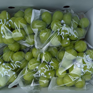 シャインマスカット５房